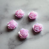 Iridescent Rose Magnets