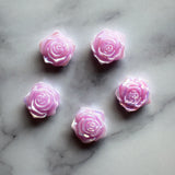 Iridescent Rose Magnets