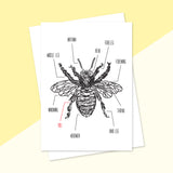 You're the Bee's Knees Card